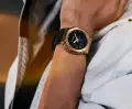GM.png