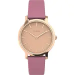 Zegarek Timex TW2V66900