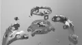 gavv.png